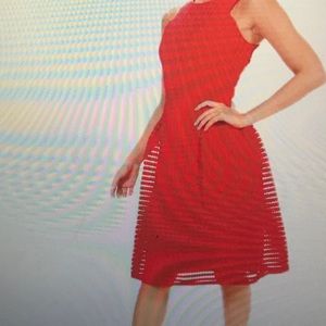 Boutique LI panelled full skirt skater dress